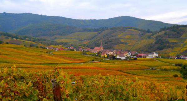 séminaire Alsace Vignoble